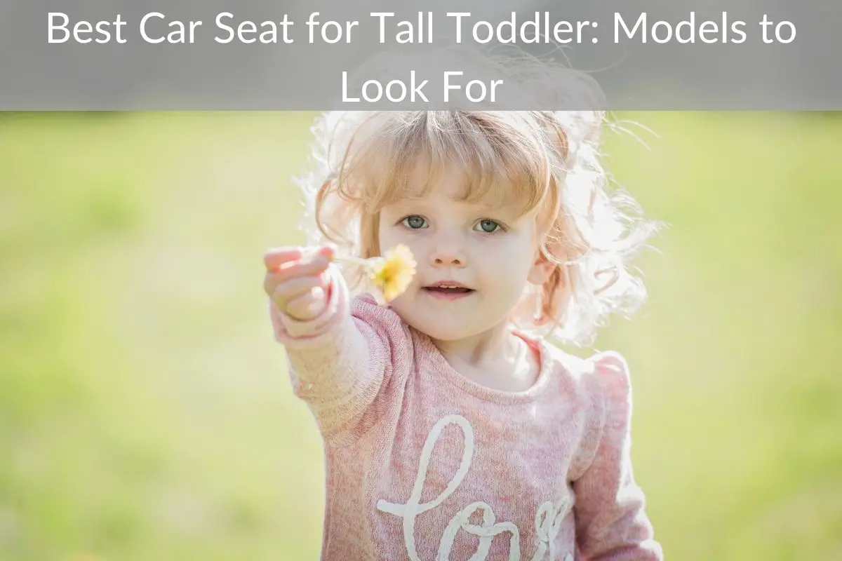 Best Car Seat for Tall Toddler: Models to Look For